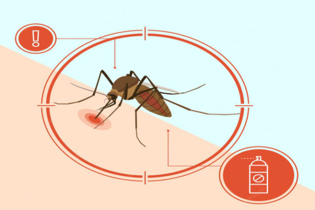 Mosquito-Borne Diseases